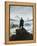 The Wanderer Above the Sea of Fog, 1818-Caspar David Friedrich-Framed Premier Image Canvas