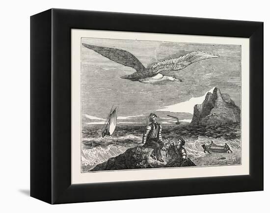 The Wandering Albatross-null-Framed Premier Image Canvas