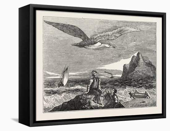 The Wandering Albatross-null-Framed Premier Image Canvas