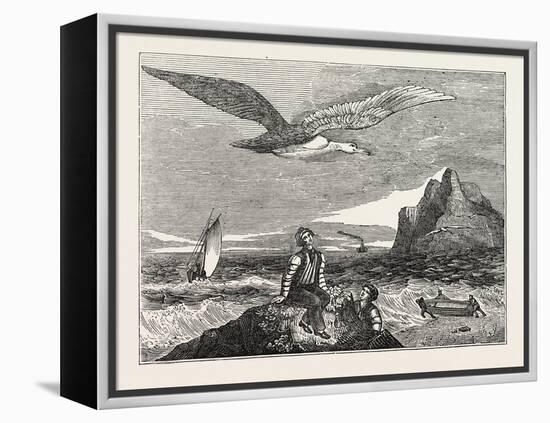 The Wandering Albatross-null-Framed Premier Image Canvas