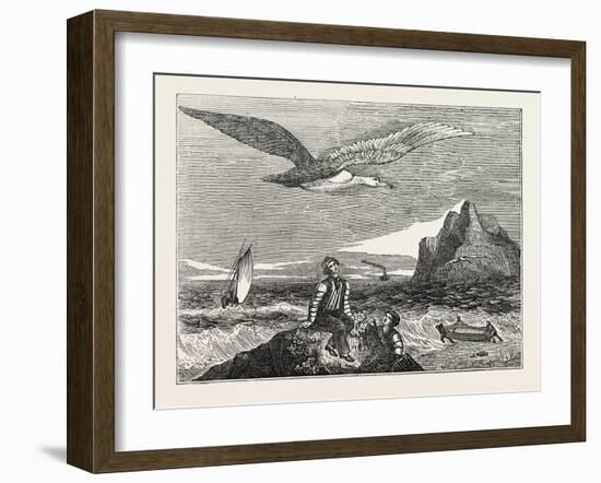 The Wandering Albatross-null-Framed Giclee Print