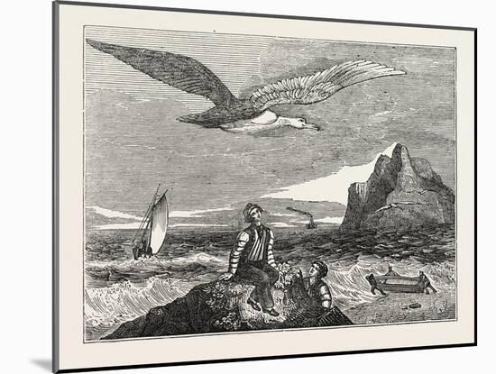 The Wandering Albatross-null-Mounted Giclee Print