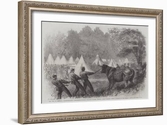 The War in America, Quartermaster's Department, Killing Bullocks in the Federal Camp, Virginia-Frederick John Skill-Framed Giclee Print