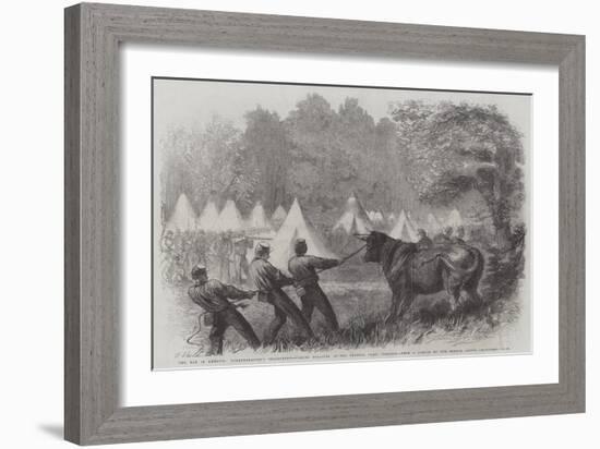 The War in America, Quartermaster's Department, Killing Bullocks in the Federal Camp, Virginia-Frederick John Skill-Framed Giclee Print