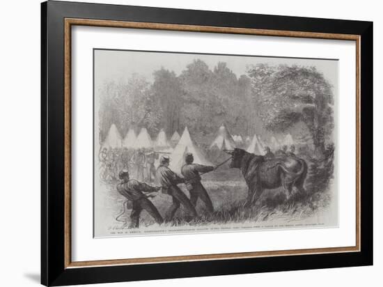The War in America, Quartermaster's Department, Killing Bullocks in the Federal Camp, Virginia-Frederick John Skill-Framed Giclee Print