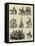 The War in South America, Types and Costumes in Lima, Peru-null-Framed Premier Image Canvas