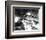 The War of the Worlds-null-Framed Photo