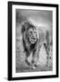 The wary champion-Jeffrey C. Sink-Framed Photographic Print