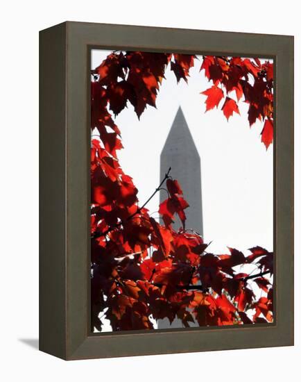 The Washington Monument Surrounded by the Brilliant Colored Leaves-Ron Edmonds-Framed Premier Image Canvas