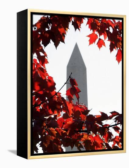 The Washington Monument Surrounded by the Brilliant Colored Leaves-Ron Edmonds-Framed Premier Image Canvas