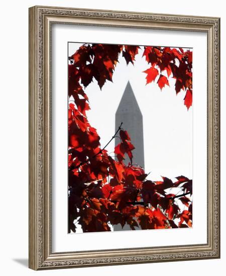 The Washington Monument Surrounded by the Brilliant Colored Leaves-Ron Edmonds-Framed Photographic Print