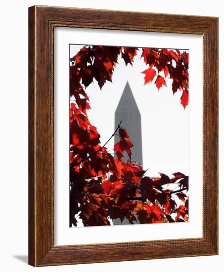 The Washington Monument Surrounded by the Brilliant Colored Leaves-Ron Edmonds-Framed Photographic Print