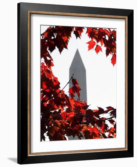 The Washington Monument Surrounded by the Brilliant Colored Leaves-Ron Edmonds-Framed Photographic Print