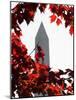 The Washington Monument Surrounded by the Brilliant Colored Leaves-Ron Edmonds-Mounted Photographic Print