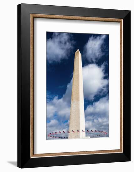 The Washington Monument, Washington DC, USA-Russ Bishop-Framed Photographic Print