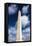 The Washington Monument, Washington DC, USA-Russ Bishop-Framed Premier Image Canvas