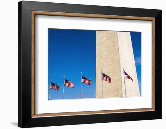The Washington Monument, Washington DC, USA-Russ Bishop-Framed Photographic Print
