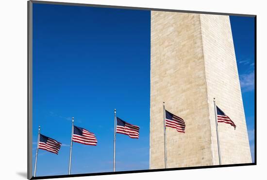The Washington Monument, Washington DC, USA-Russ Bishop-Mounted Photographic Print