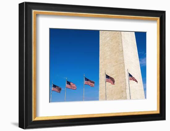 The Washington Monument, Washington DC, USA-Russ Bishop-Framed Photographic Print