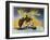 The Wasp Woman, 1960-null-Framed Art Print