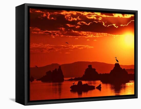 The Watcher-Philippe Sainte-Laudy-Framed Premier Image Canvas