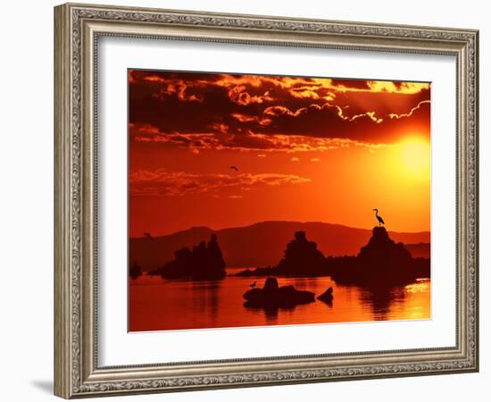 The Watcher-Philippe Sainte-Laudy-Framed Photographic Print