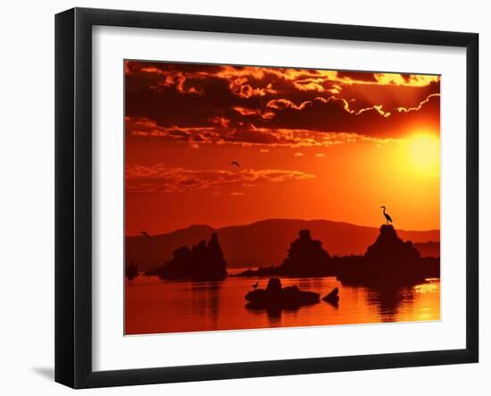 The Watcher-Philippe Sainte-Laudy-Framed Photographic Print