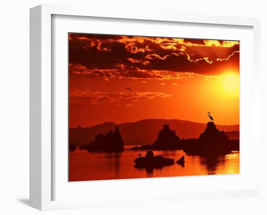 The Watcher-Philippe Sainte-Laudy-Framed Photographic Print