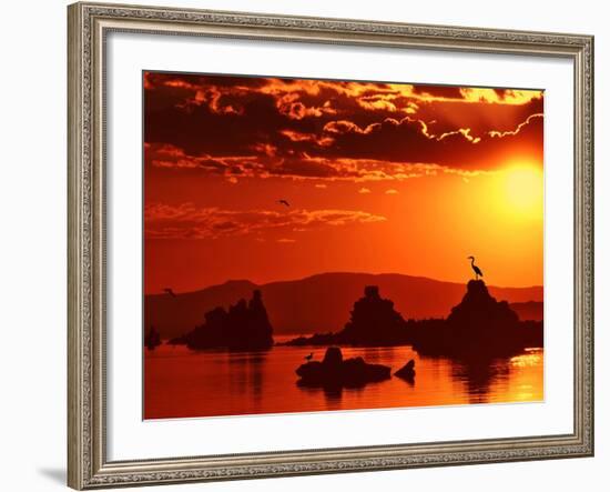 The Watcher-Philippe Sainte-Laudy-Framed Photographic Print