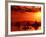 The Watcher-Philippe Sainte-Laudy-Framed Photographic Print