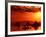 The Watcher-Philippe Sainte-Laudy-Framed Photographic Print