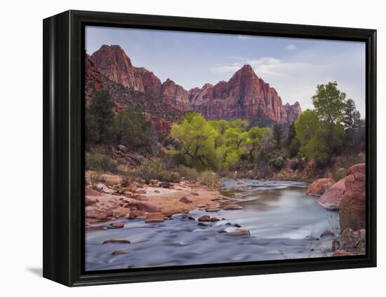 The Watchman, Cottonwood, Virgin River, Zion National Park, Utah, Usa-Rainer Mirau-Framed Premier Image Canvas