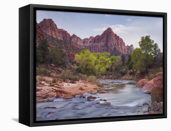 The Watchman, Cottonwood, Virgin River, Zion National Park, Utah, Usa-Rainer Mirau-Framed Premier Image Canvas