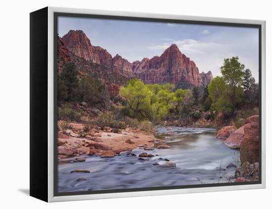 The Watchman, Cottonwood, Virgin River, Zion National Park, Utah, Usa-Rainer Mirau-Framed Premier Image Canvas