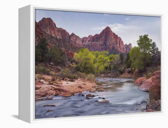 The Watchman, Cottonwood, Virgin River, Zion National Park, Utah, Usa-Rainer Mirau-Framed Premier Image Canvas