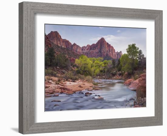 The Watchman, Cottonwood, Virgin River, Zion National Park, Utah, Usa-Rainer Mirau-Framed Photographic Print