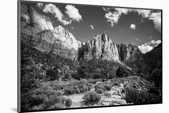 The Watchman II-Laura Marshall-Mounted Photographic Print