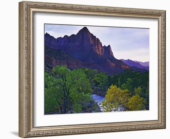 The Watchman Peak and the Virgin River, Zion National Park, Utah, USA-Dennis Flaherty-Framed Photographic Print