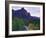 The Watchman Peak and the Virgin River, Zion National Park, Utah, USA-Dennis Flaherty-Framed Photographic Print