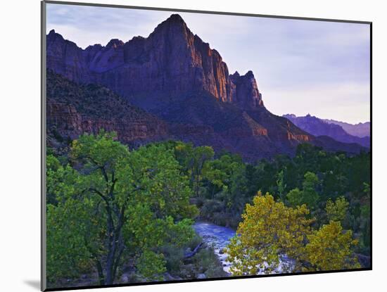 The Watchman Peak and the Virgin River, Zion National Park, Utah, USA-Dennis Flaherty-Mounted Photographic Print