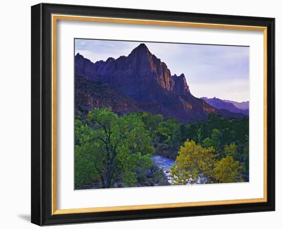 The Watchman Peak and the Virgin River, Zion National Park, Utah, USA-Dennis Flaherty-Framed Photographic Print