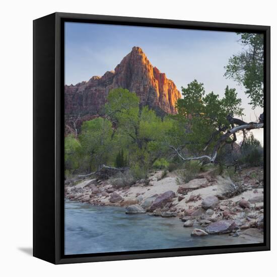 The Watchman, Virgin River, Zion National Park, Utah, Usa-Rainer Mirau-Framed Premier Image Canvas