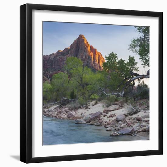 The Watchman, Virgin River, Zion National Park, Utah, Usa-Rainer Mirau-Framed Photographic Print