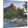 The Watchman, Virgin River, Zion National Park, Utah, Usa-Rainer Mirau-Mounted Photographic Print