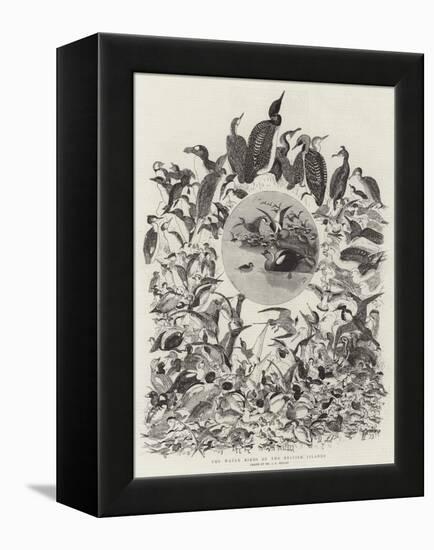 The Water Birds of the British Islands-John Everett Millais-Framed Premier Image Canvas