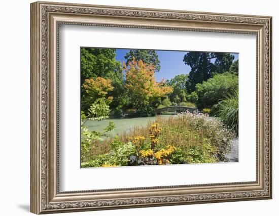 The Water Garden, Christchurch Botanic Gardens, Christchurch, Canterbury, South Island, New Zealand-Ruth Tomlinson-Framed Photographic Print