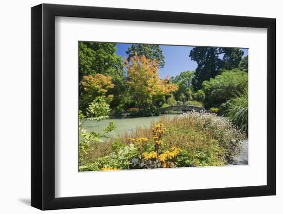 The Water Garden, Christchurch Botanic Gardens, Christchurch, Canterbury, South Island, New Zealand-Ruth Tomlinson-Framed Photographic Print