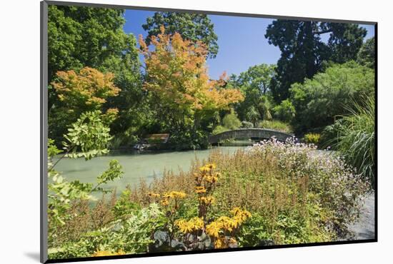The Water Garden, Christchurch Botanic Gardens, Christchurch, Canterbury, South Island, New Zealand-Ruth Tomlinson-Mounted Photographic Print