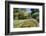 The Water Garden, Christchurch Botanic Gardens, Christchurch, Canterbury, South Island, New Zealand-Ruth Tomlinson-Framed Photographic Print