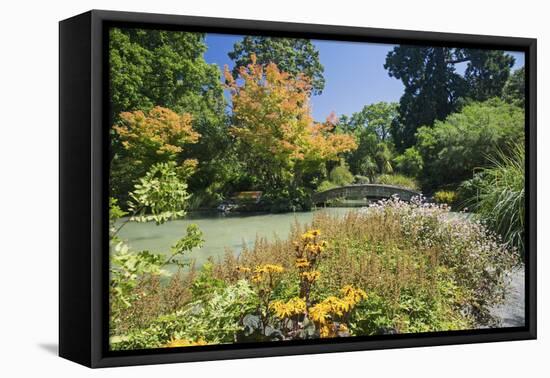 The Water Garden, Christchurch Botanic Gardens, Christchurch, Canterbury, South Island, New Zealand-Ruth Tomlinson-Framed Premier Image Canvas